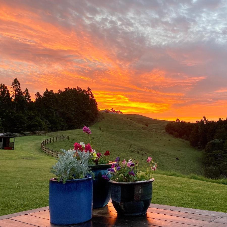 Kauri Glen Bnb Te Arai Екстериор снимка