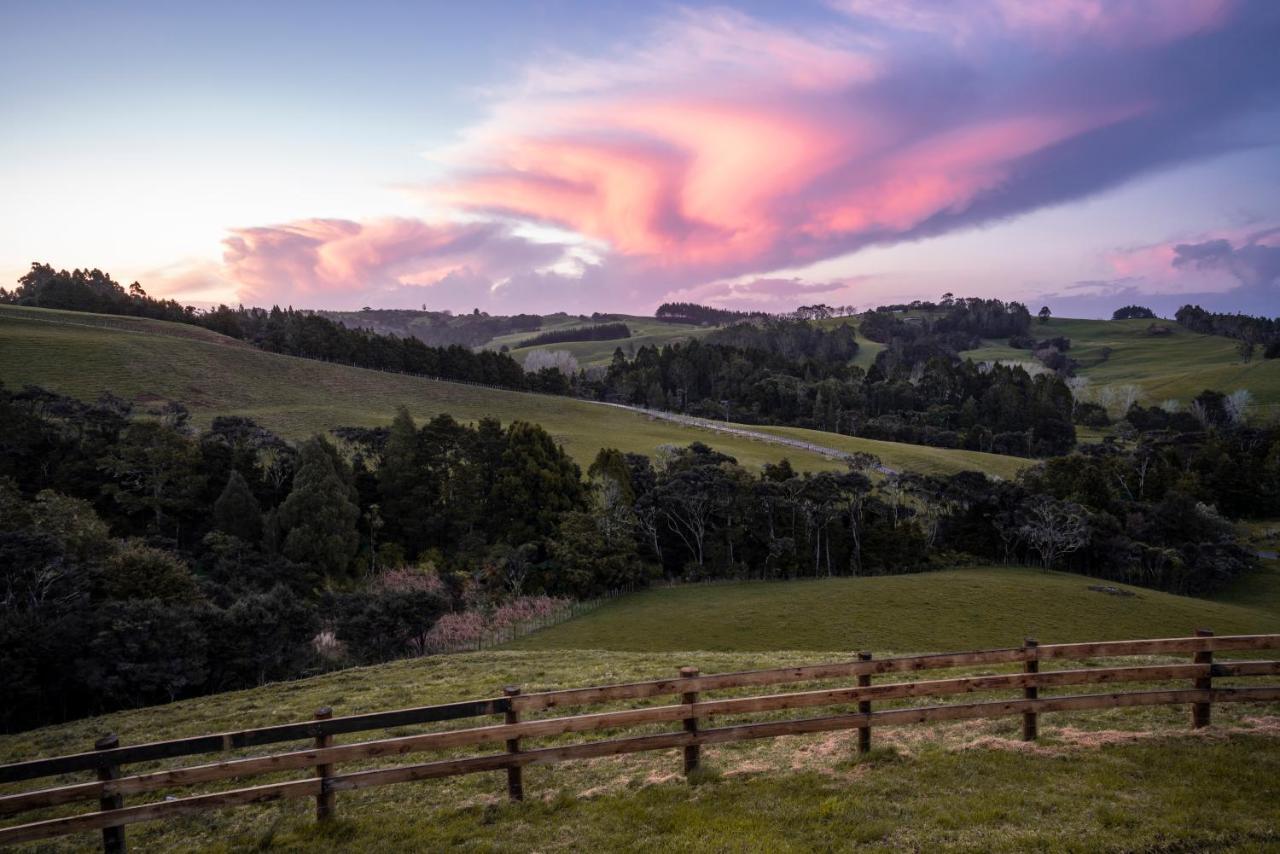 Kauri Glen Bnb Te Arai Екстериор снимка
