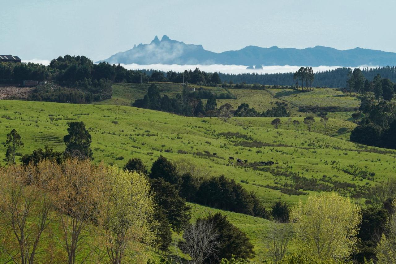 Kauri Glen Bnb Te Arai Екстериор снимка